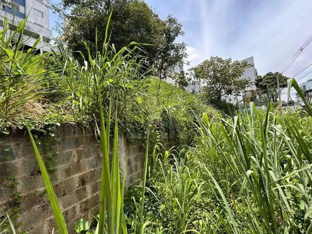 Terreno / Lote para Venda em Belo Horizonte/MG Ouro Preto