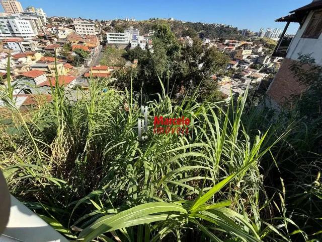Terreno / Lote para Venda em Belo Horizonte/MG Alto Caiçaras 1 Quartos