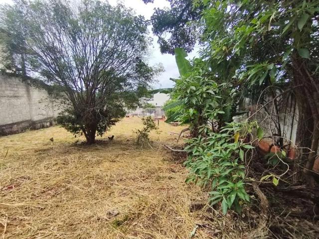Terreno / Lote para Venda em Belo Horizonte/MG Bandeirantes
