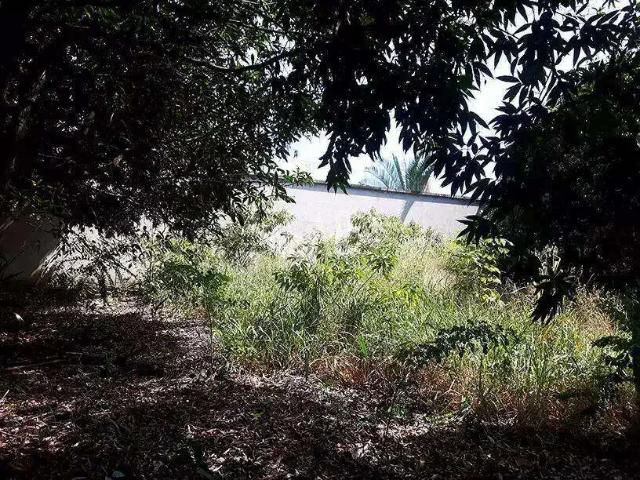 Terreno / Lote para Venda em Belo Horizonte/MG Bandeirantes Pampulha