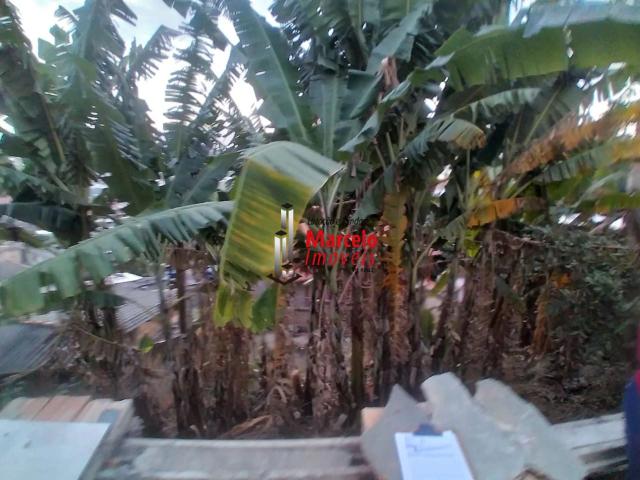 Terreno / Lote para Venda em Belo Horizonte/MG Bom Jesus 1 Quartos