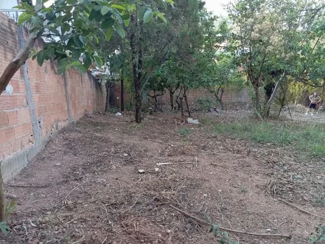 Terreno / Lote para Venda em Belo Horizonte/MG Bonsucesso Barreiro
