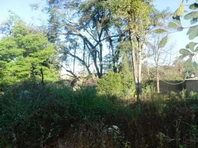 Terreno / Lote para Venda em Belo Horizonte/MG Braúnas