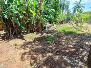 Terreno / Lote para Venda em Belo Horizonte/MG Braúnas