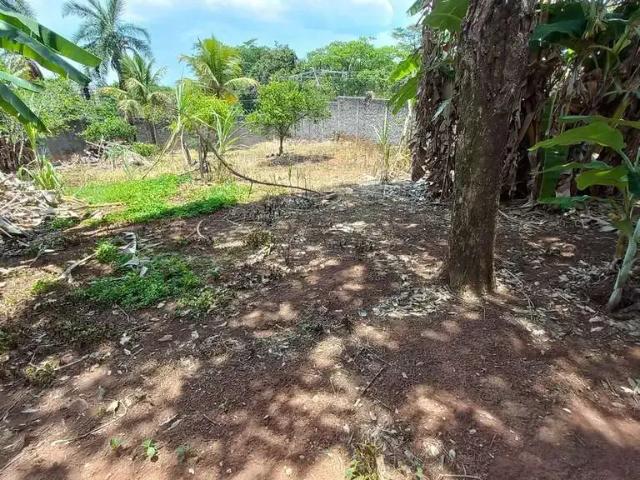 Terreno / Lote para Venda em Belo Horizonte/MG Braúnas