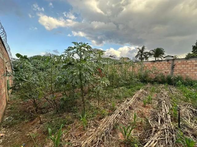 Terreno / Lote para Venda em Belo Horizonte/MG Braúnas