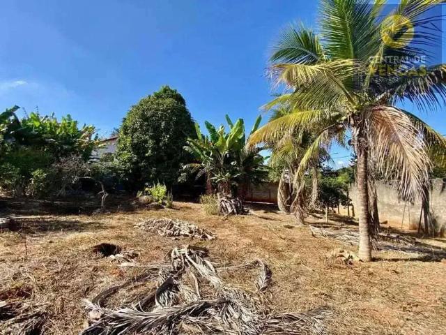 Terreno / Lote para Venda em Belo Horizonte/MG Braúnas