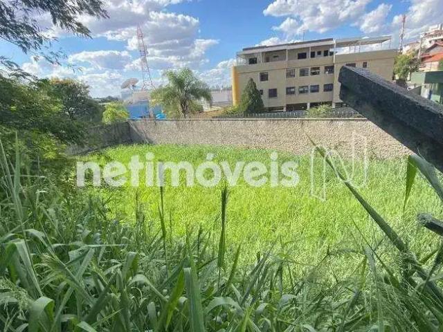 Terreno / Lote para Venda em Belo Horizonte/MG Caiçaras 1 Quartos