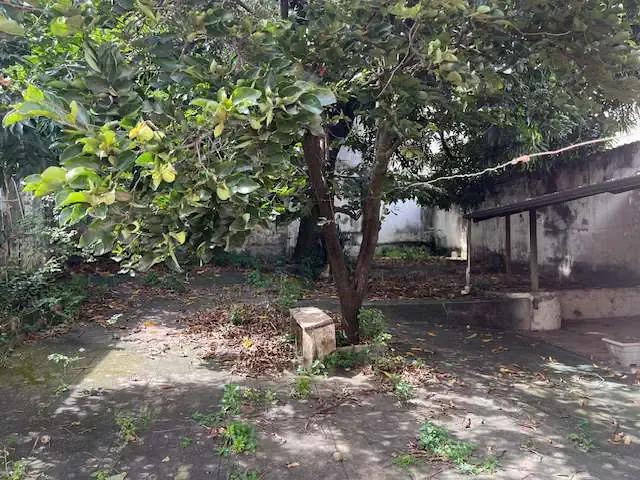 Terreno / Lote para Venda em Belo Horizonte/MG Calafate 3 Quartos