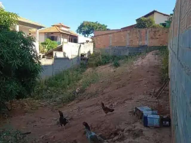 Terreno / Lote para Venda em Belo Horizonte/MG Canaã