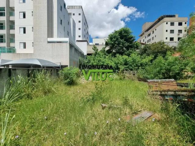 Terreno / Lote para Venda em Belo Horizonte/MG Castelo
