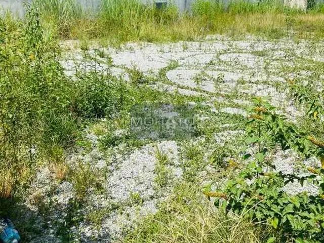 Terreno / Lote para Venda em Belo Horizonte/MG Castelo