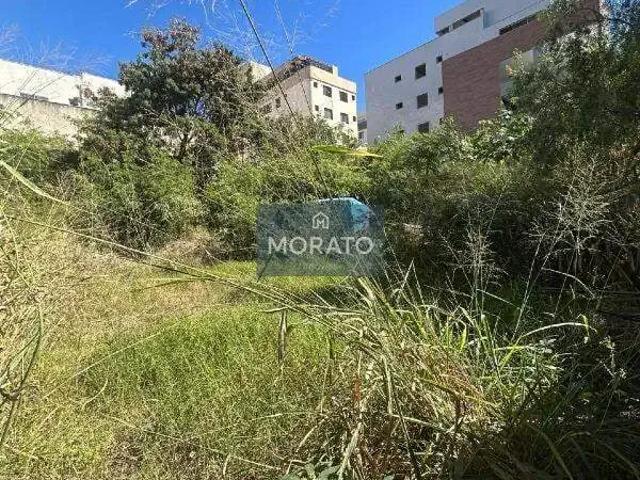 Terreno / Lote para Venda em Belo Horizonte/MG Castelo