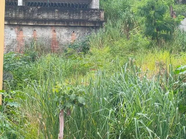 Terreno / Lote para Venda em Belo Horizonte/MG Castelo