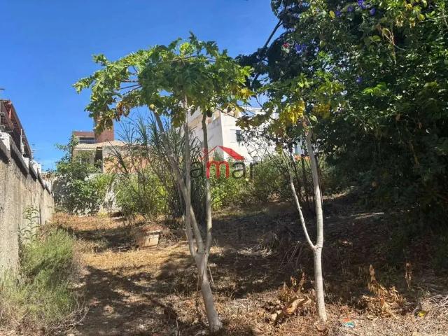 Terreno / Lote para Venda em Belo Horizonte/MG Castelo
