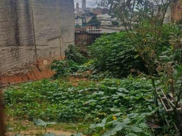 Terreno / Lote para Venda em Belo Horizonte/MG Carlos Prates