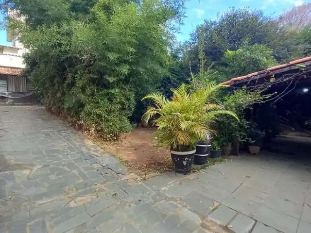 Terreno / Lote para Venda em Belo Horizonte/MG Cidade Nova 3 Quartos