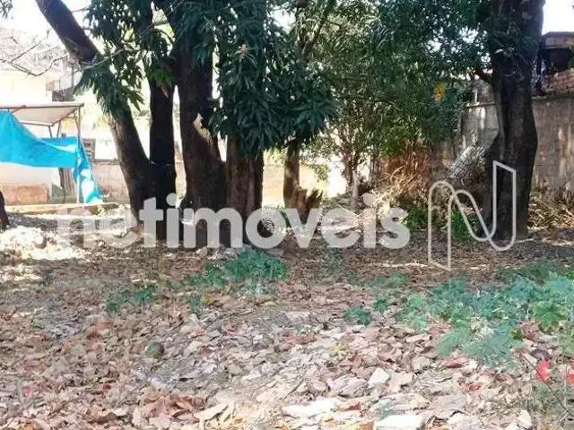 Terreno / Lote para Venda em Belo Horizonte/MG Cinquentenario 1 Quartos