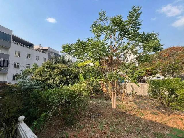 Terreno / Lote para Venda em Belo Horizonte/MG Cinquentenario