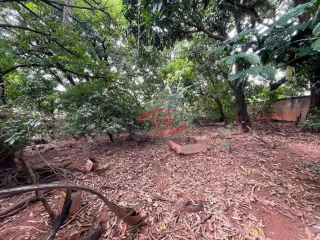 Terreno / Lote para Venda em Belo Horizonte/MG Cinquentenario