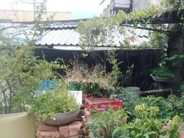 Terreno / Lote para Venda em Belo Horizonte/MG Colégio Batista