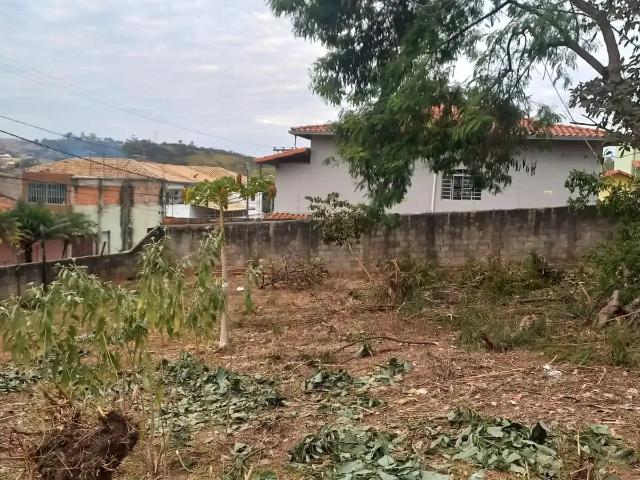 Terreno / Lote para Venda em Belo Horizonte/MG Etelvina Carneiro