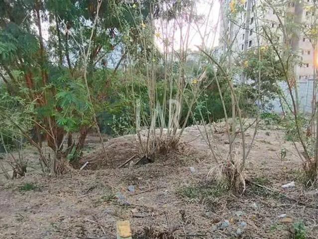 Terreno / Lote para Venda em Belo Horizonte/MG Estoril