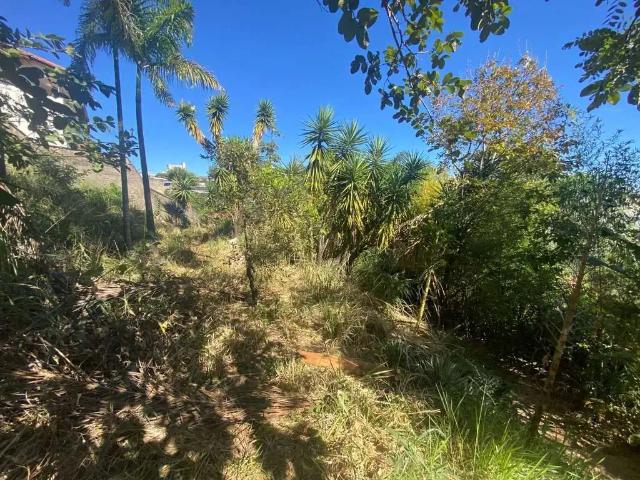 Terreno / Lote para Venda em Belo Horizonte/MG Estoril