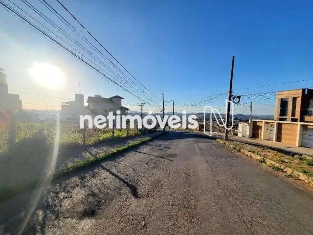 Terreno / Lote para Venda em Belo Horizonte/MG Fernão Dias