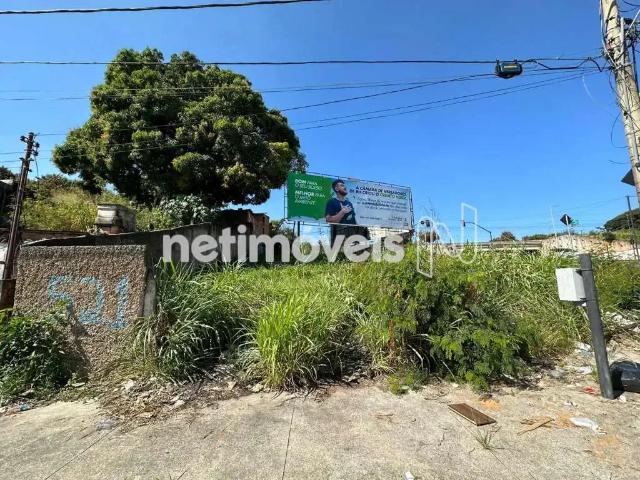 Terreno / Lote para Venda em Belo Horizonte/MG Fernão Dias