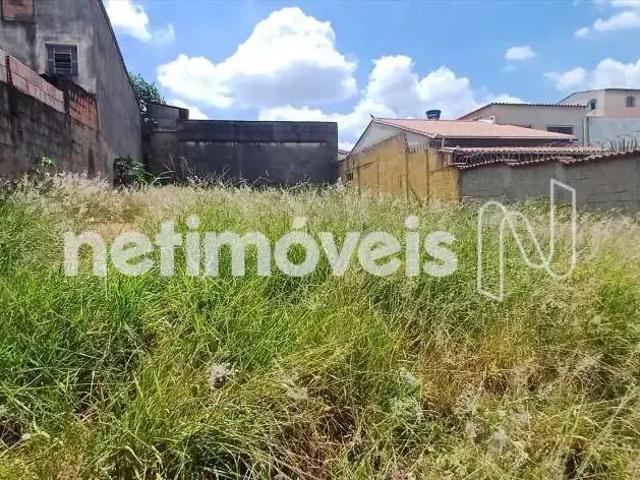 Terreno / Lote para Venda em Belo Horizonte/MG Flávio Marques Lisboa