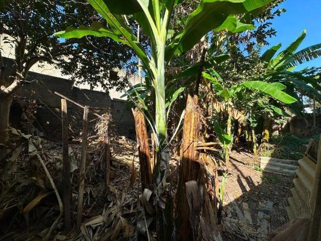 Terreno / Lote para Venda em Belo Horizonte/MG Floramar
