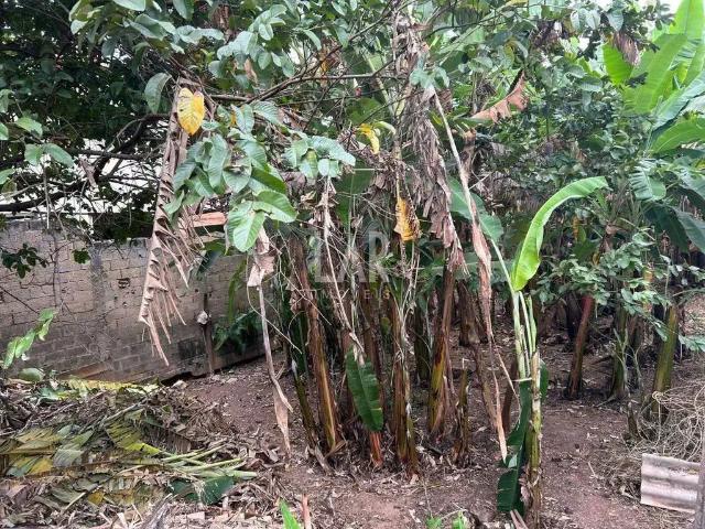 Terreno / Lote para Venda em Belo Horizonte/MG Floramar
