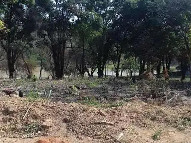 Terreno / Lote para Venda em Belo Horizonte/MG Garças