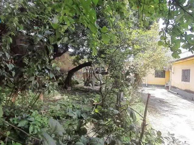 Terreno / Lote para Venda em Belo Horizonte/MG Glória