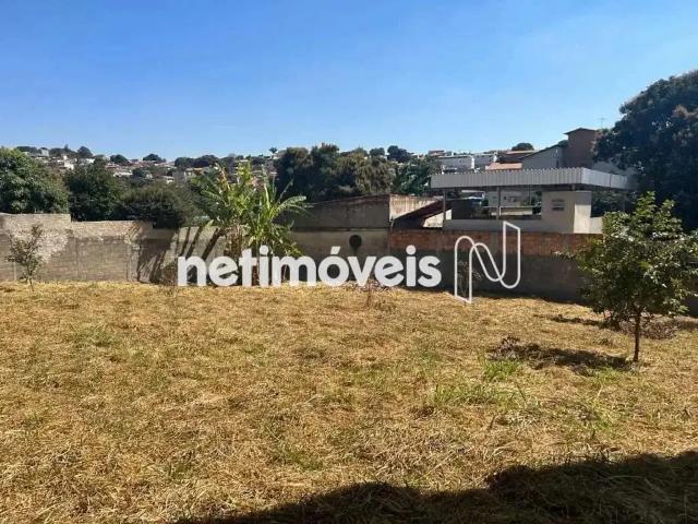 Terreno / Lote para Venda em Belo Horizonte/MG Glória