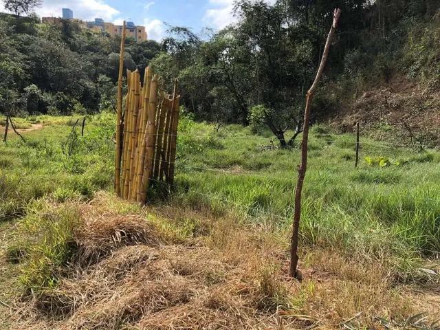 Terreno / Lote para Venda em Belo Horizonte/MG Granja de Freitas