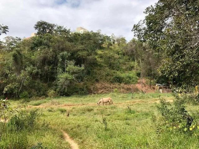 Terreno / Lote para Venda em Belo Horizonte/MG Granja de Freitas