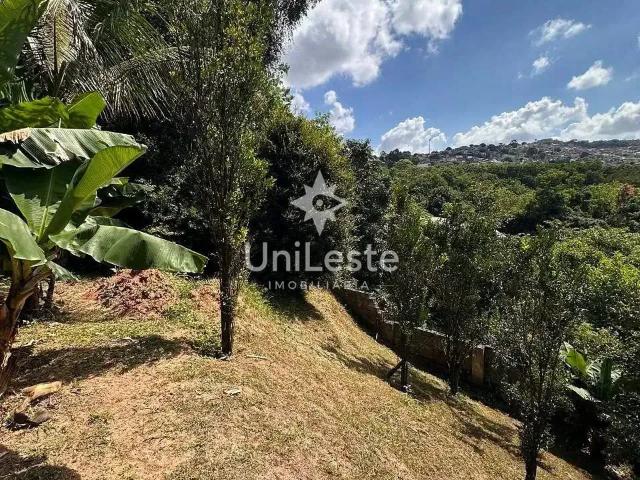 Terreno / Lote para Venda em Belo Horizonte/MG Granja de Freitas