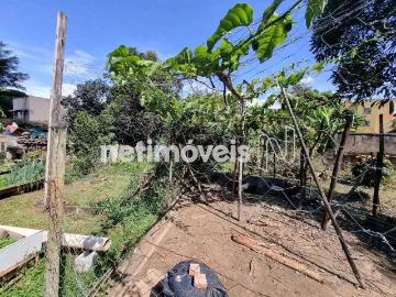 Terreno / Lote para Venda em Belo Horizonte/MG Havaí 1 Quartos