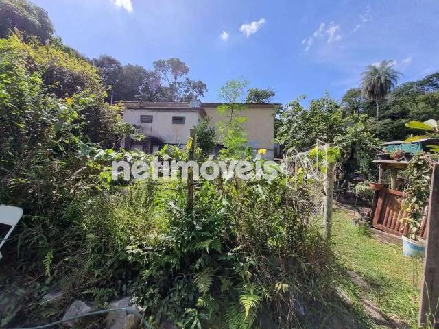 Terreno / Lote para Venda em Belo Horizonte/MG Havaí 1 Quartos