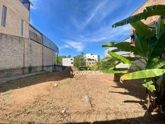 Terreno / Lote para Venda em Belo Horizonte/MG Juliana