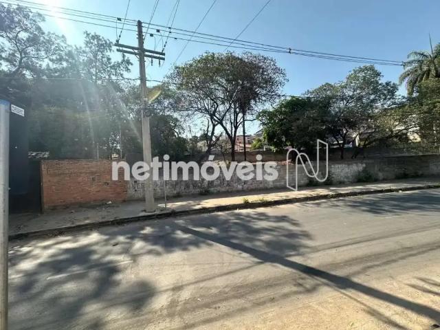 Terreno / Lote para Venda em Belo Horizonte/MG Jaqueline 1 Quartos