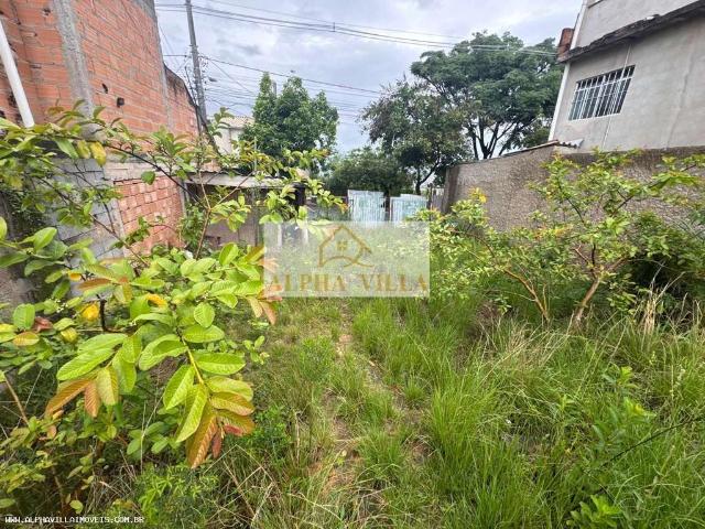 Terreno / Lote para Venda em Belo Horizonte/MG Jardim Vitória 1 Quartos