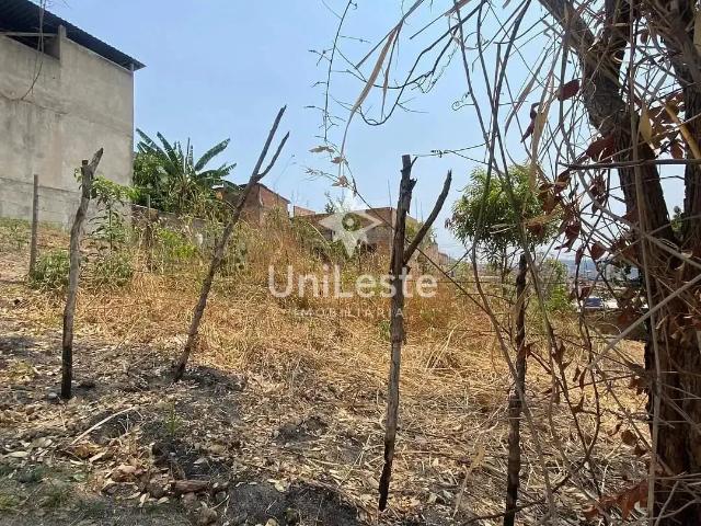 Terreno / Lote para Venda em Belo Horizonte/MG Jardim Vitória