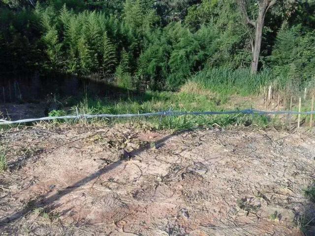 Terreno / Lote para Venda em Belo Horizonte/MG Jardim Vitória