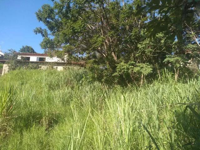Terreno / Lote para Venda em Belo Horizonte/MG Jardim Atlântico