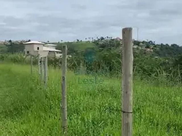 Terreno / Lote para Venda em Belo Horizonte/MG Jardim Felicidade