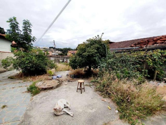 Terreno / Lote para Venda em Belo Horizonte/MG Jardim Leblon
