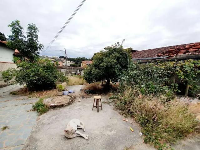 Terreno / Lote para Venda em Belo Horizonte/MG Jardim Leblon